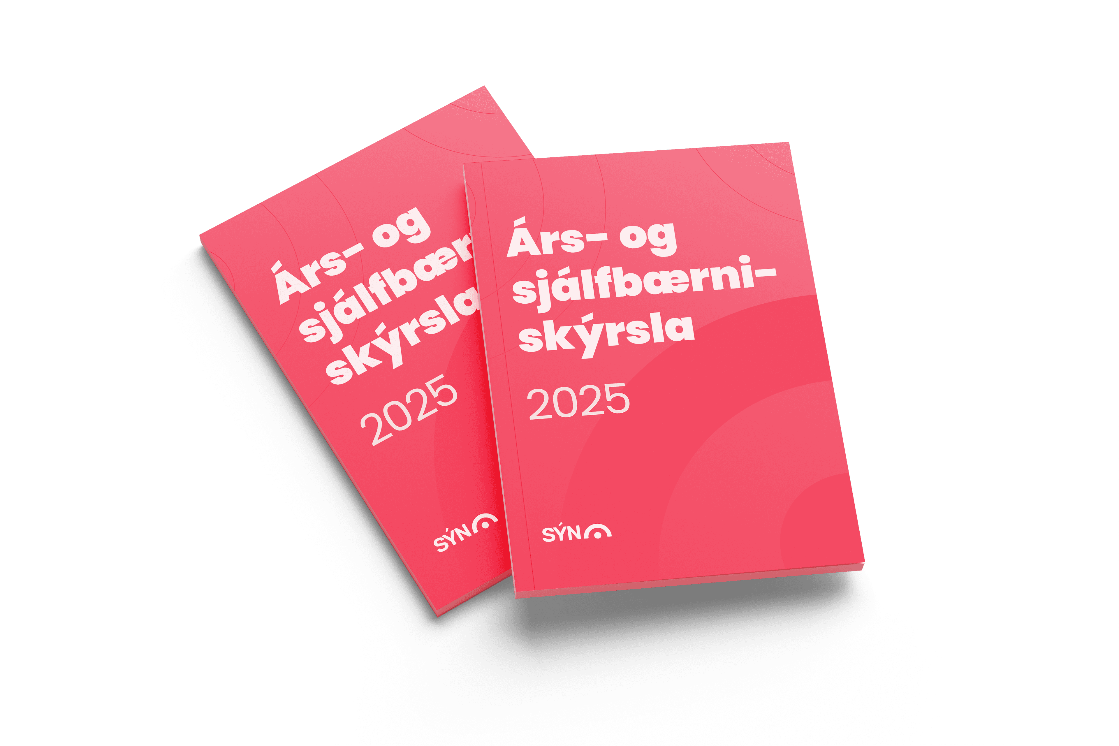 Ársskýrsla 2025 á forsíðu-Ársskýrsla 2025 á forsíðu-img