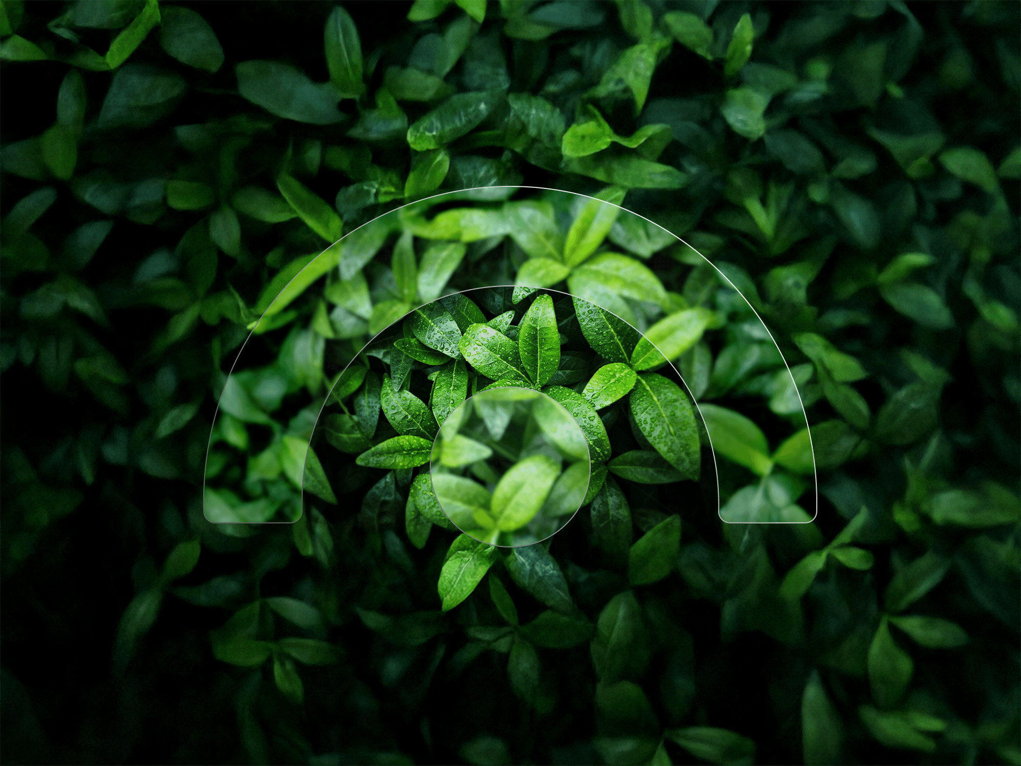 NUIN simi og blom-hringras_plontur-img